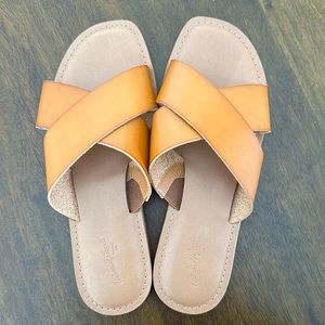 Target universal thread size 8- new Summer slides
